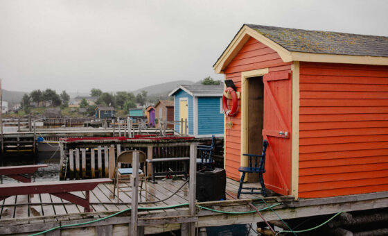 Newfoundland Rocks: A Cow Head Shed Party